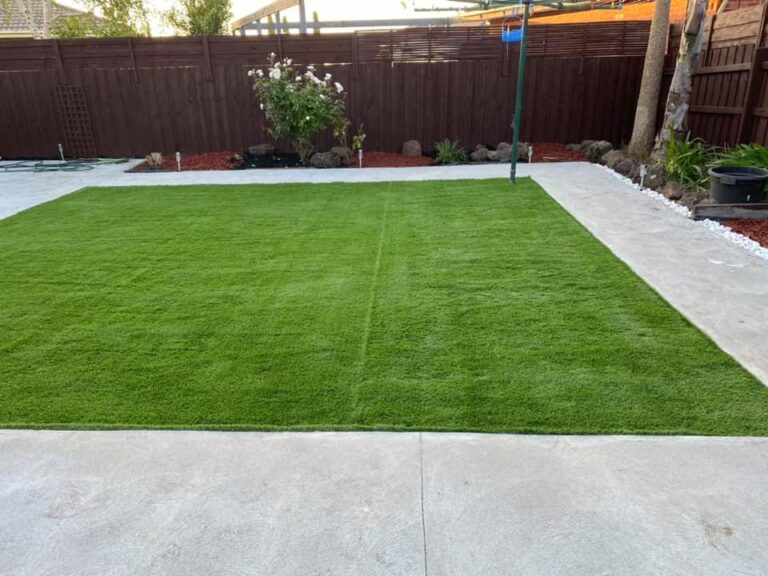 123187496_1261558060897670_7079851632419366290_n