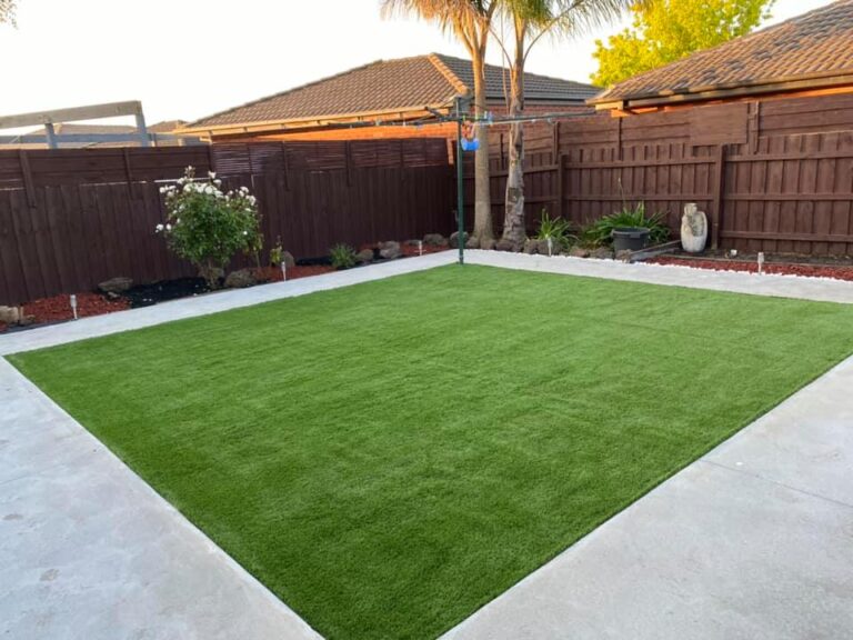 123297221_1261557967564346_4432157429401339761_n